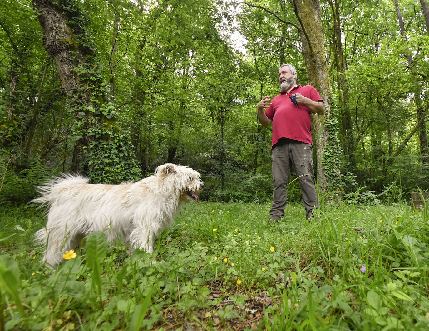 La jornada de los museos en Ur Mara, el espacio de Koldobika Jauregi que une en Alkiza naturaleza, pensamiento y arte, como un Chillida Leku silvestre.