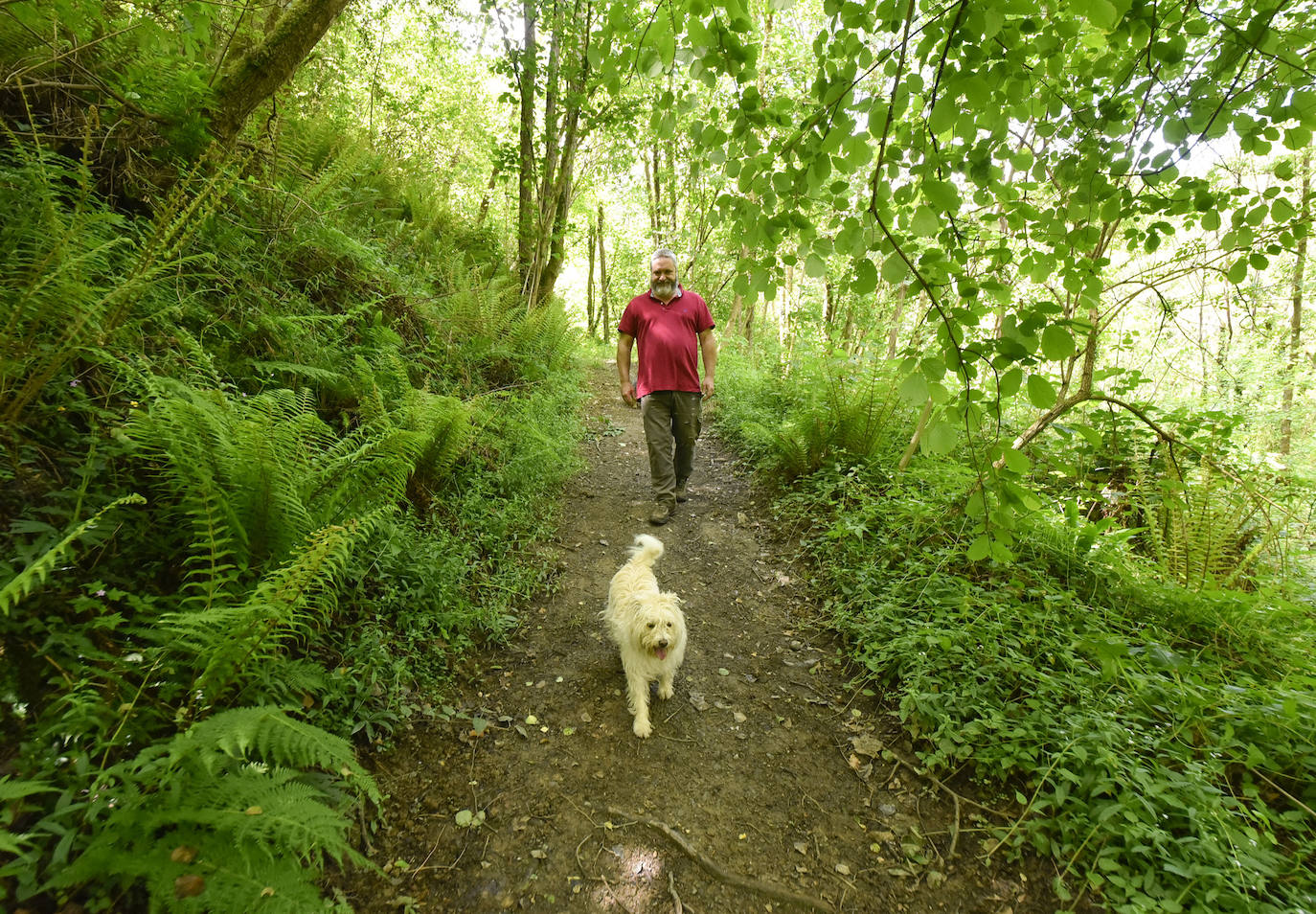 La jornada de los museos en Ur Mara, el espacio de Koldobika Jauregi que une en Alkiza naturaleza, pensamiento y arte, como un Chillida Leku silvestre.
