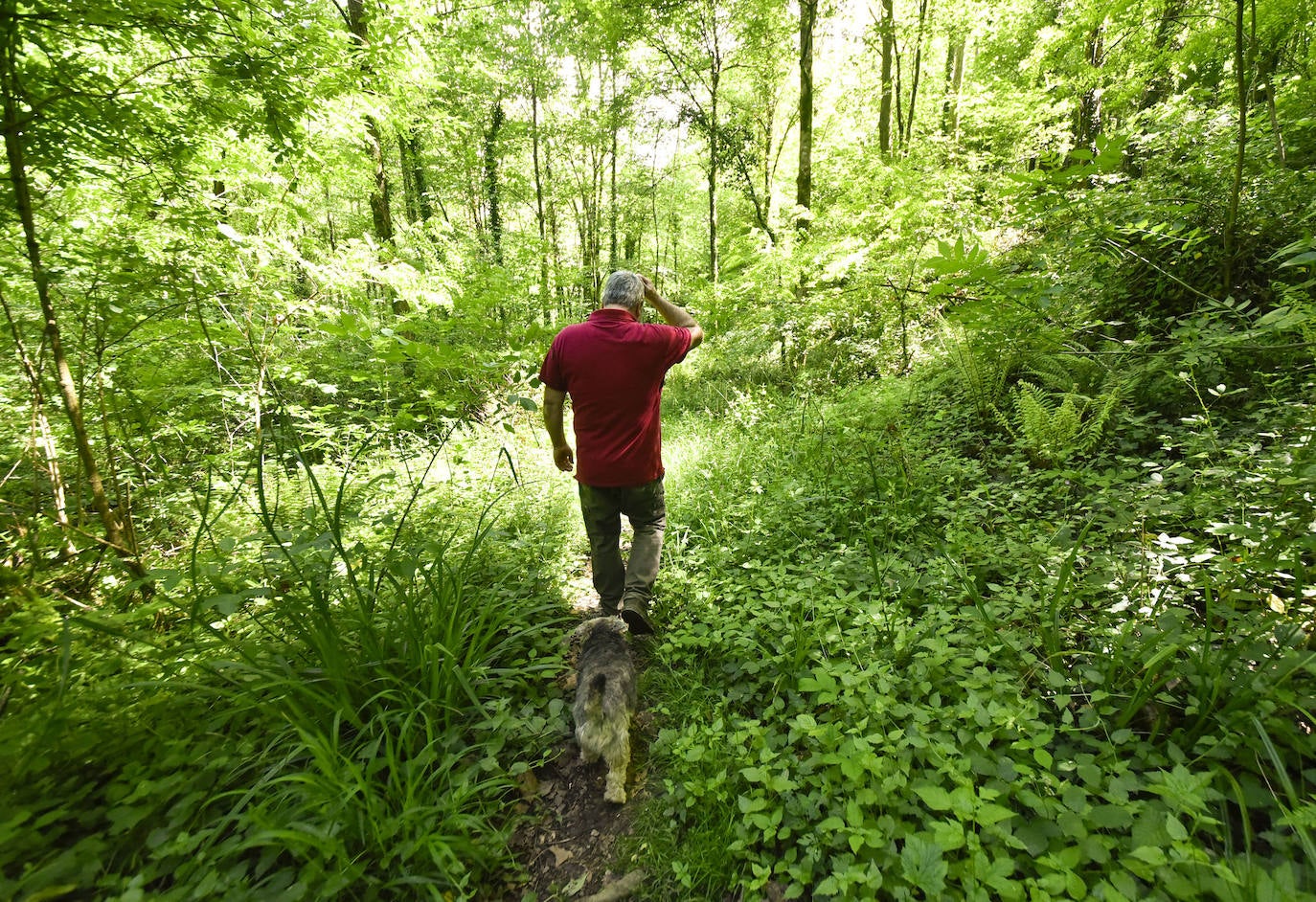 La jornada de los museos en Ur Mara, el espacio de Koldobika Jauregi que une en Alkiza naturaleza, pensamiento y arte, como un Chillida Leku silvestre.