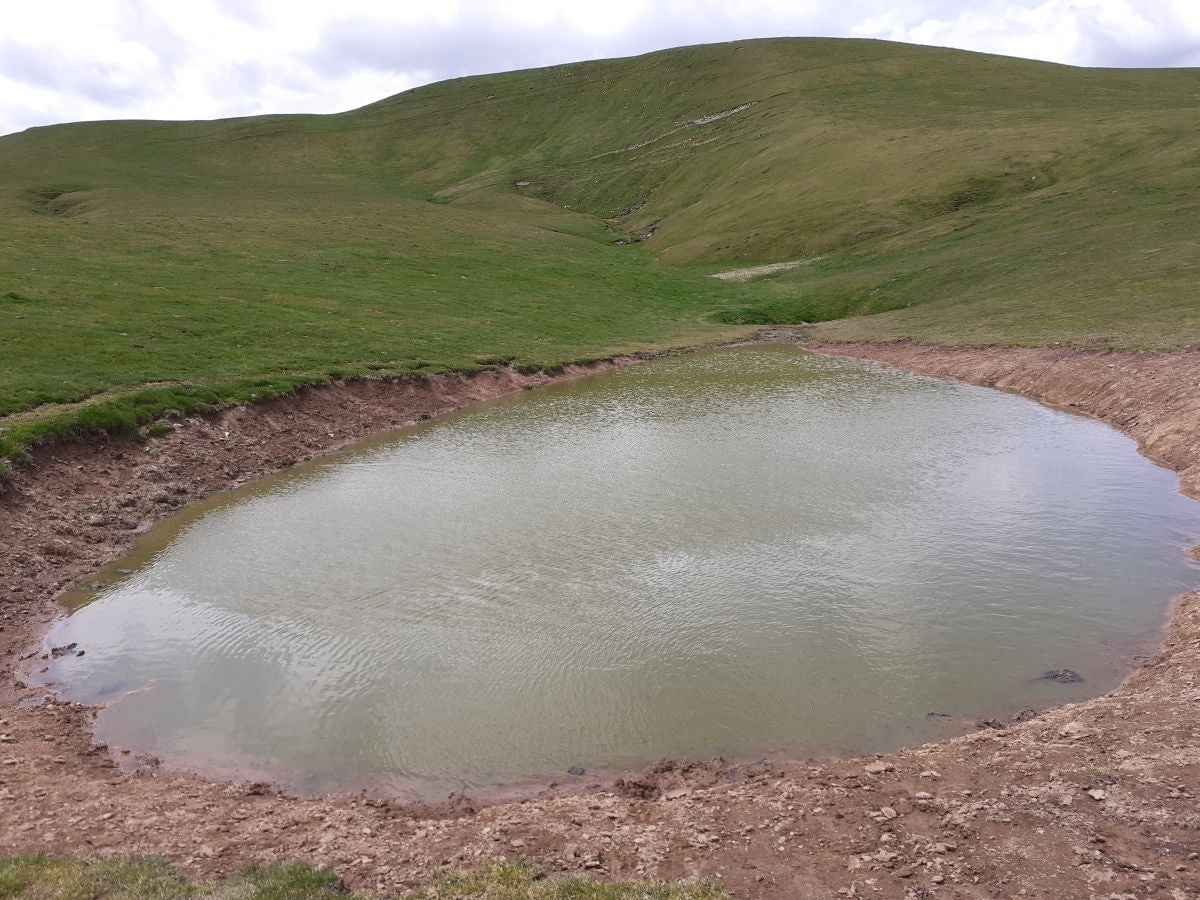 Ganboa, una joya bien custodiada