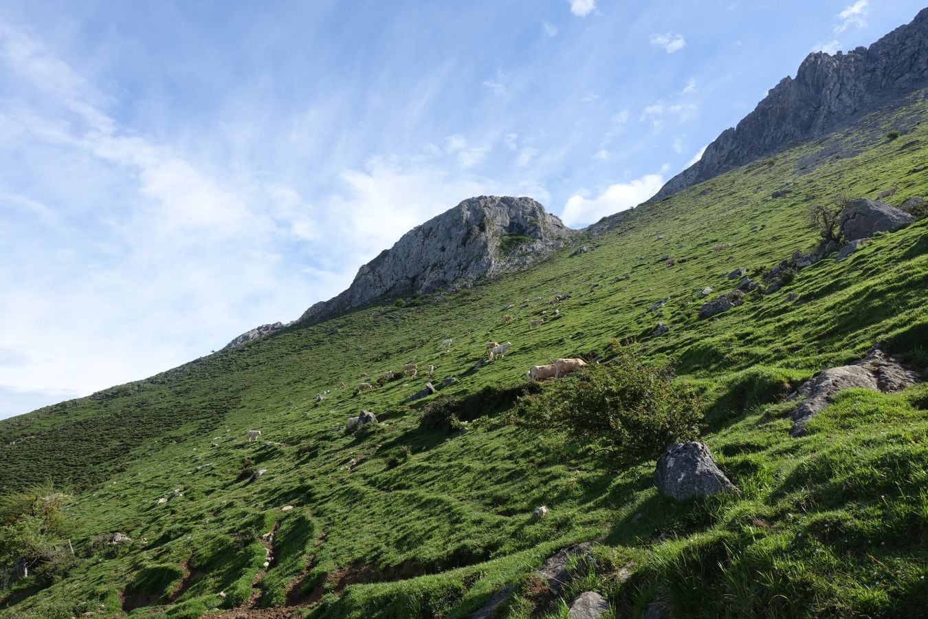 Ganboa, una joya bien custodiada