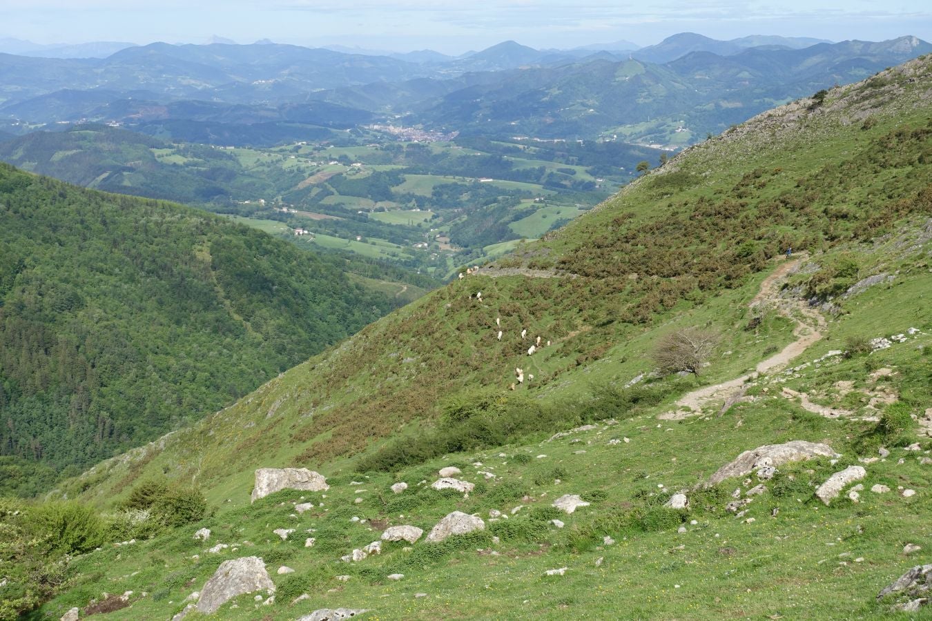 Ganboa, una joya bien custodiada
