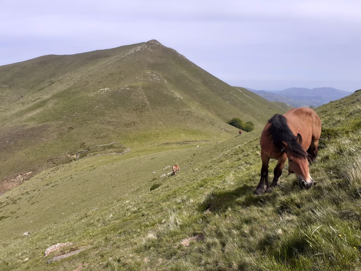 La blanca ermita de la Trinidad ubica esta cima de piedra rojiza en la que las leyendas mitológicas inundan todos sus rincones.