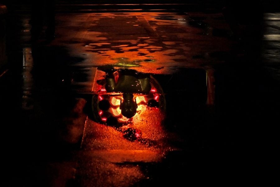 Fotos: Luces para Buda