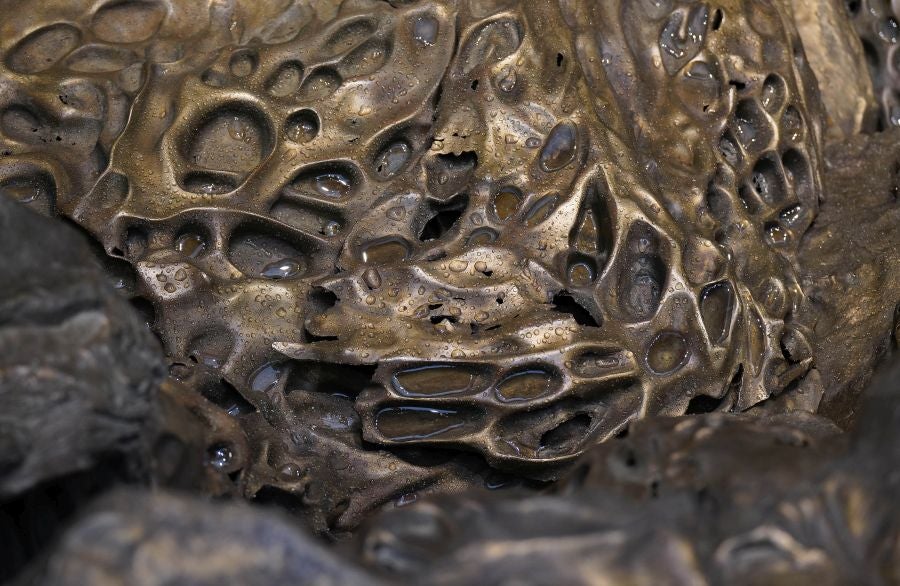 Fotos de Hondalea, la obra de Cristina Iglesias en la isla Santa Clara