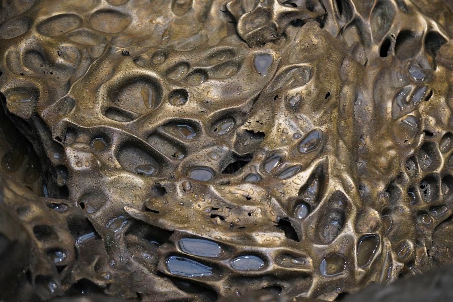 Fotos de Hondalea, la obra de Cristina Iglesias en la isla Santa Clara