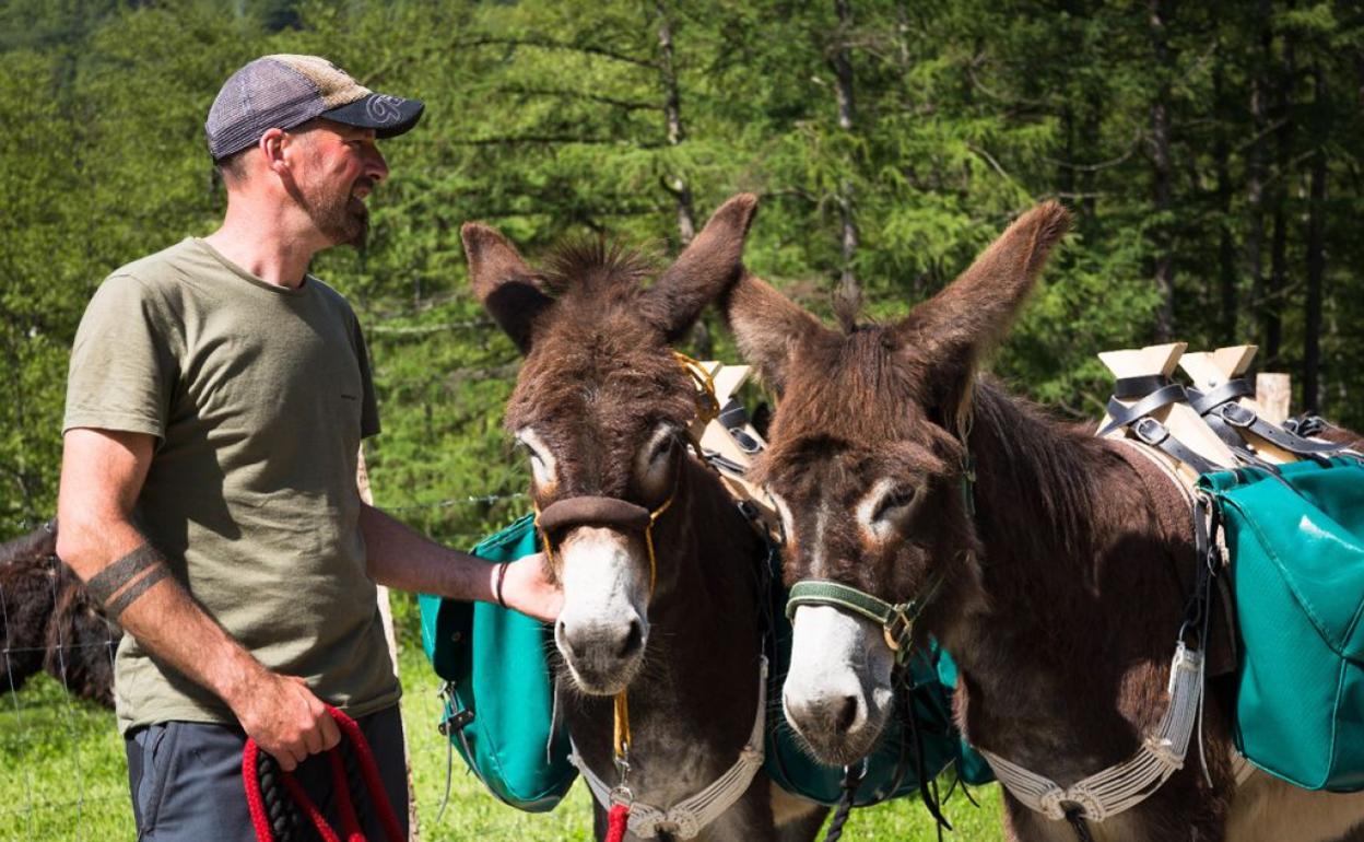 Aritz Aierbe junto dos de sus burros en Aitzerga. 