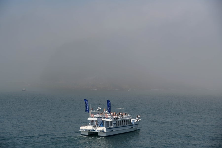 La Ama Guadalupekoa de Hondarribia y Arraun Lagunak se han impuesto este domingo en el Campeonato de Gipuzkoa de Traineras. 