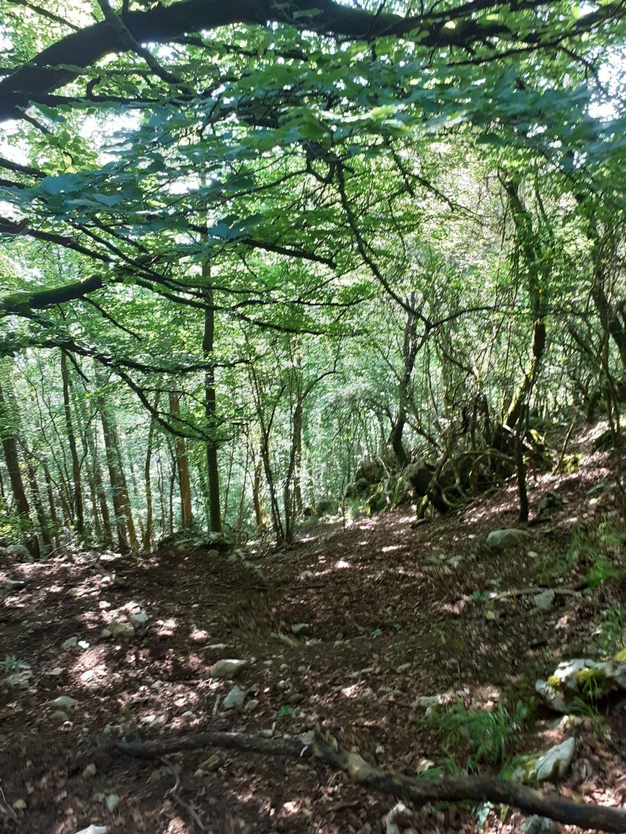 Discreta cumbre desde la que se contempla la fuerza del mar que a lo largo de millones de años ha esculpido nuestra costa, dejando al descubierto grandes tesoros fósiles