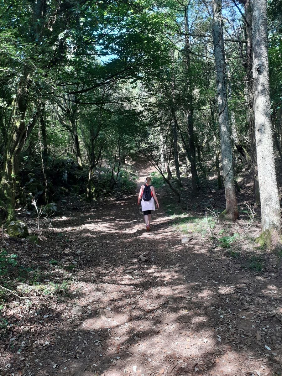 Discreta cumbre desde la que se contempla la fuerza del mar que a lo largo de millones de años ha esculpido nuestra costa, dejando al descubierto grandes tesoros fósiles