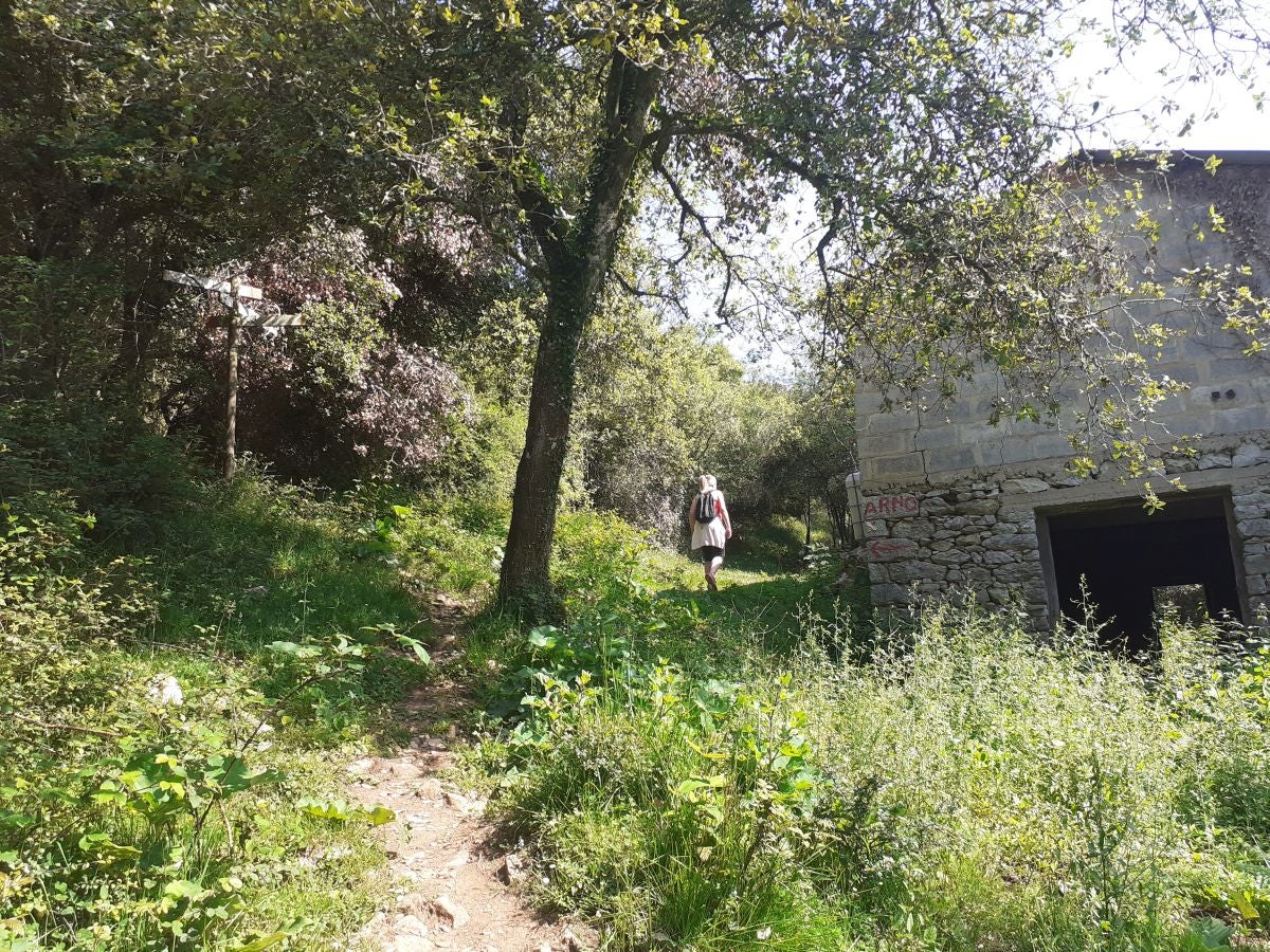 Discreta cumbre desde la que se contempla la fuerza del mar que a lo largo de millones de años ha esculpido nuestra costa, dejando al descubierto grandes tesoros fósiles