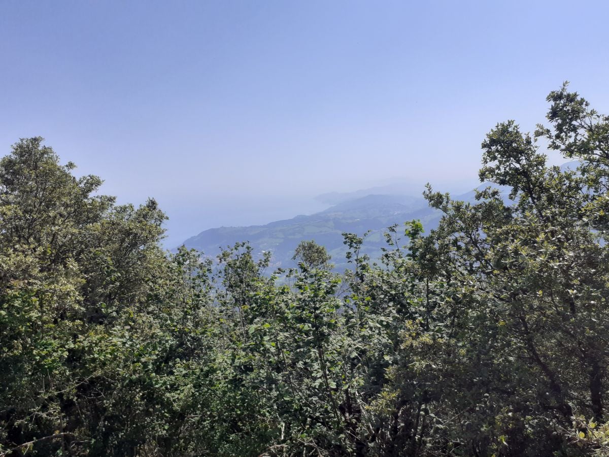 Discreta cumbre desde la que se contempla la fuerza del mar que a lo largo de millones de años ha esculpido nuestra costa, dejando al descubierto grandes tesoros fósiles