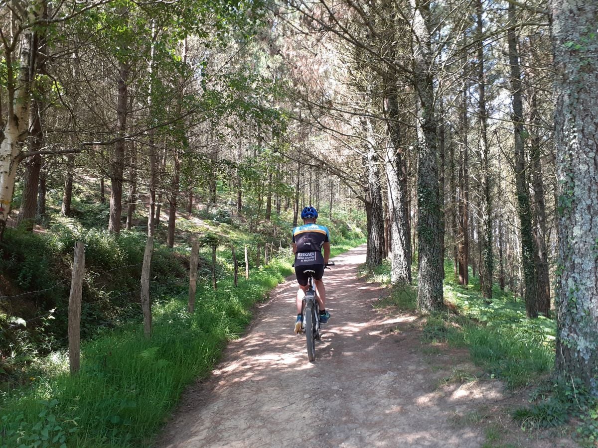 Discreta cumbre desde la que se contempla la fuerza del mar que a lo largo de millones de años ha esculpido nuestra costa, dejando al descubierto grandes tesoros fósiles