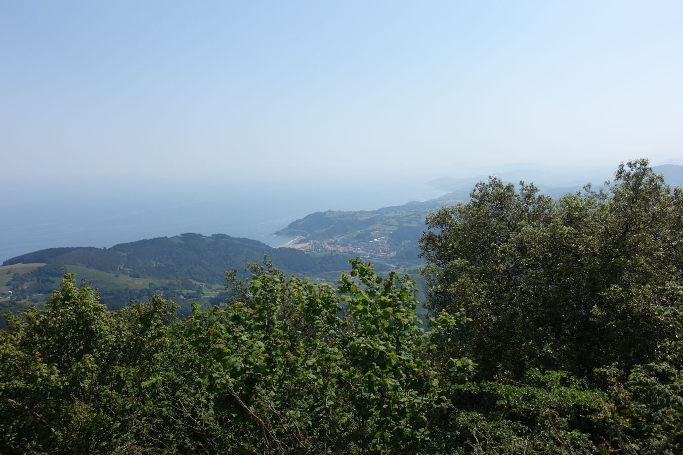 Discreta cumbre desde la que se contempla la fuerza del mar que a lo largo de millones de años ha esculpido nuestra costa, dejando al descubierto grandes tesoros fósiles