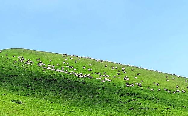 Imagen principal - Monte Saioa (1.418 m) desde Artesiaga