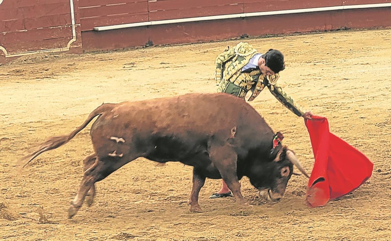 Tomás Rufo torea al natural al toro al que cortó las dos orejas.