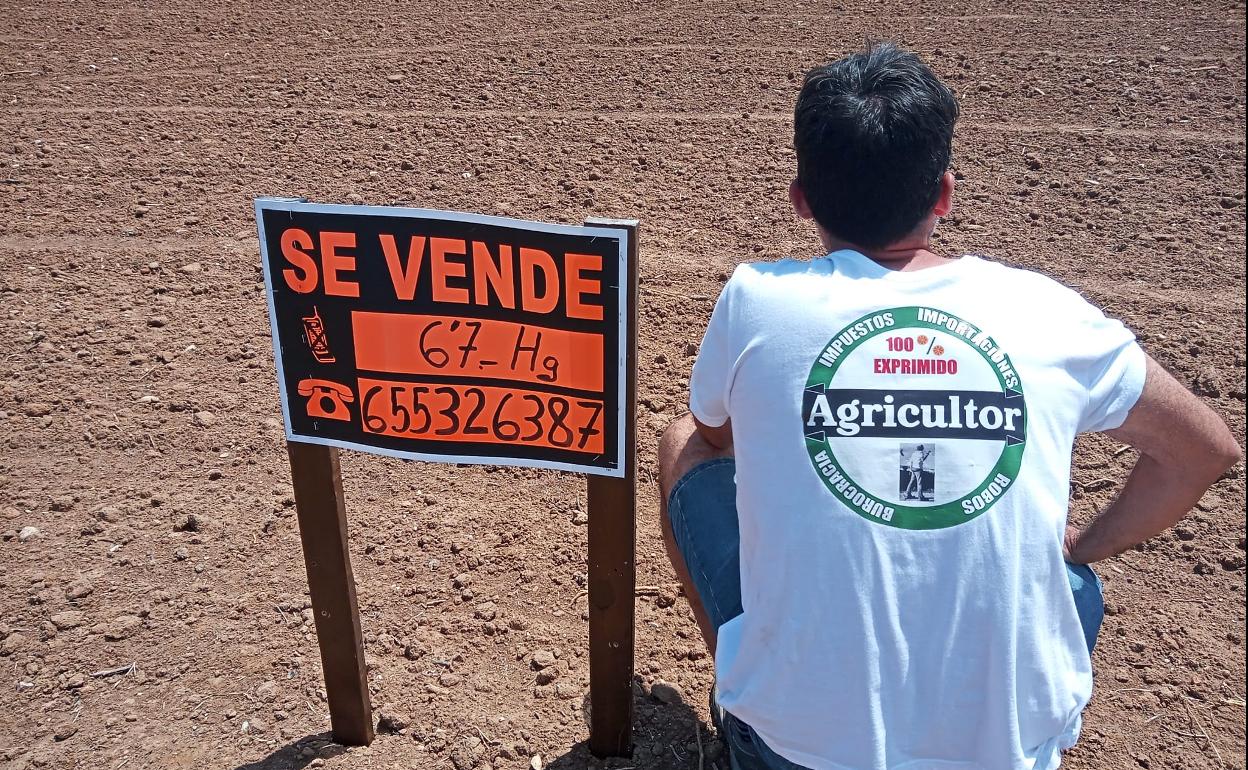 La otra transición (I)