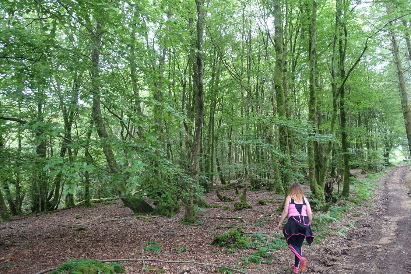 Sus 801 metros de altitud no le hacen uno de los montes más destacables, pero su peculiar cima lo convierte en uno de los que hay que conocer