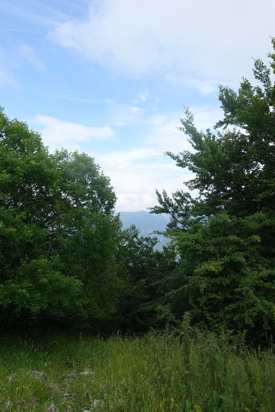 Sus 801 metros de altitud no le hacen uno de los montes más destacables, pero su peculiar cima lo convierte en uno de los que hay que conocer
