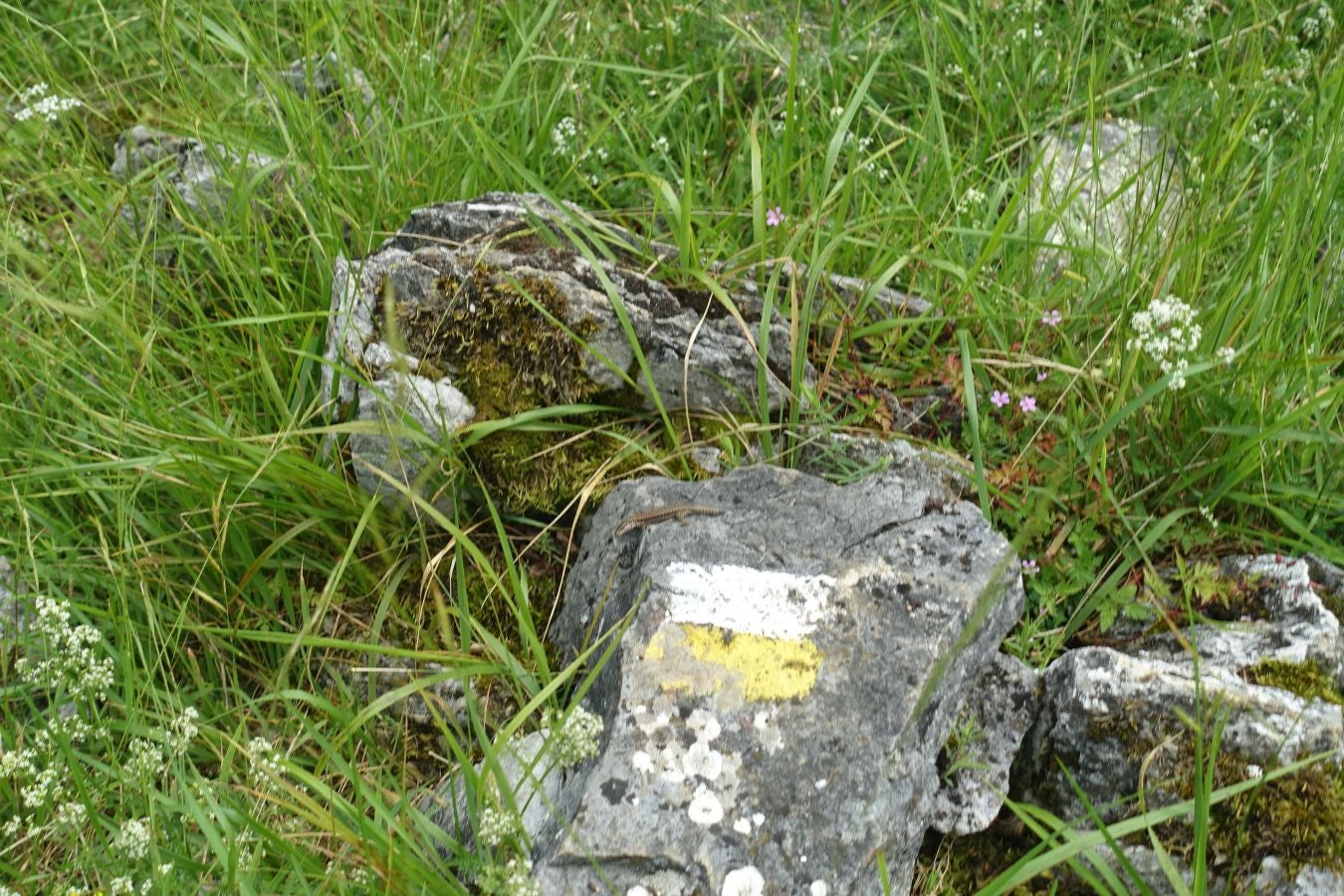 Sus 801 metros de altitud no le hacen uno de los montes más destacables, pero su peculiar cima lo convierte en uno de los que hay que conocer
