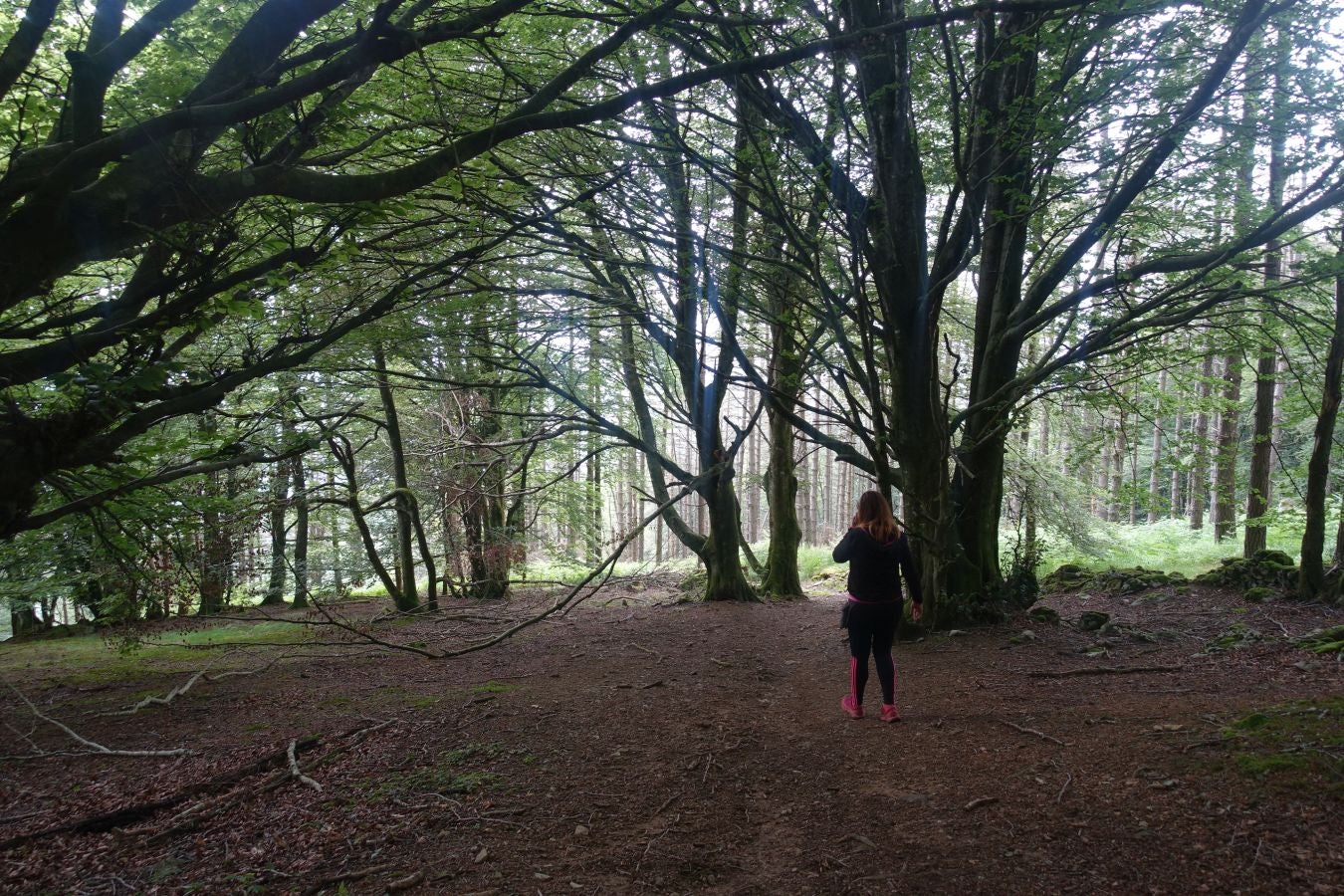Sus 801 metros de altitud no le hacen uno de los montes más destacables, pero su peculiar cima lo convierte en uno de los que hay que conocer
