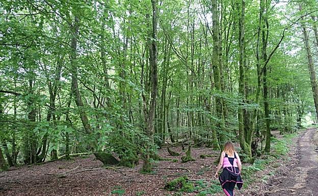 Otsabio (801 m.), ruta circular desde Altzo