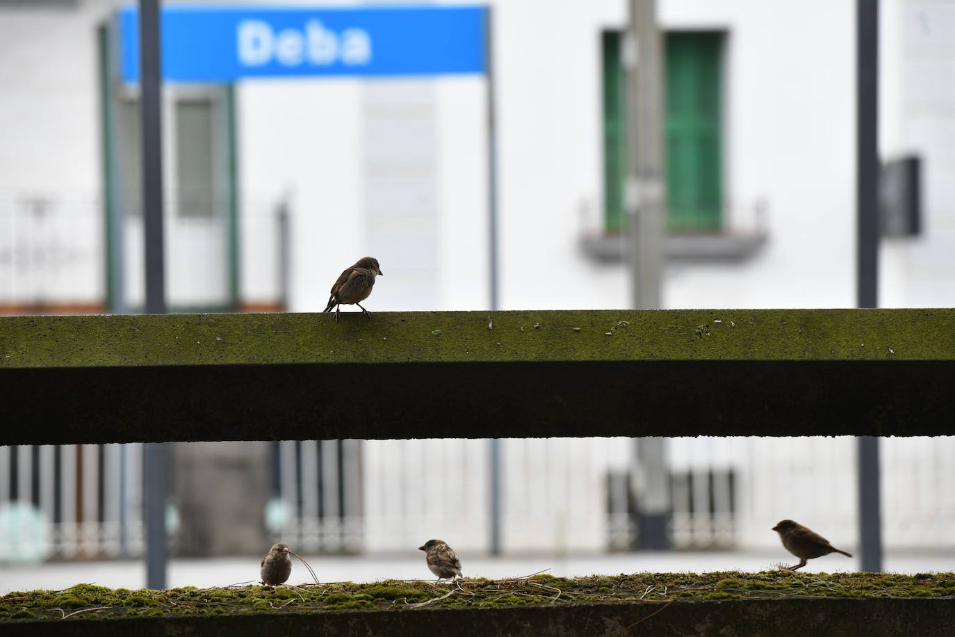 Los vecinos de Deba siguen con su día a día gris y lluvioso después de vivir varios días de altas temperaturas 