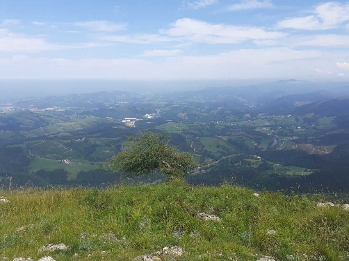 Esta sencilla cima, presidida por una cruz y que cuenta con dos buzones, nos sorprende con su preciosas vistar al Cantábrico