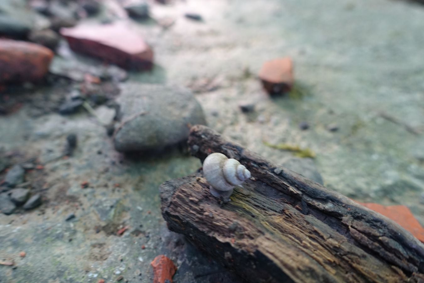 La cima más popular de la sierra de Aloña ofrece una magníficas vistas del Alto Deba y los montes que le rodean
