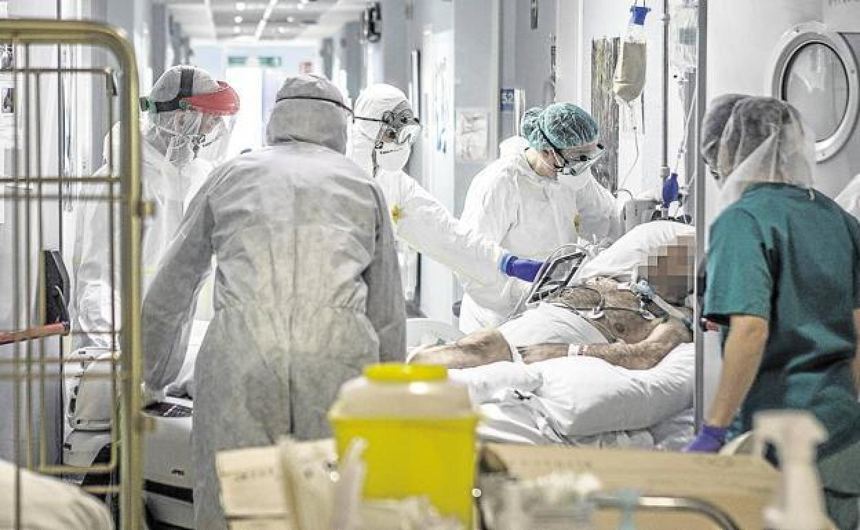 Coronavirus Euskadi:Un tercio de los pacientes covid ingresados en hospitales vascos en las últimas horas tiene menos de 40 años