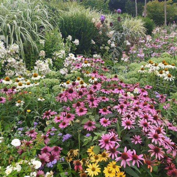 20.000 metros cuadrados de jardines albergan abundantes colecciones botánicas