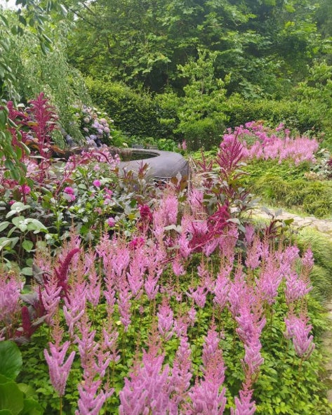20.000 metros cuadrados de jardines albergan abundantes colecciones botánicas