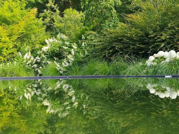 20.000 metros cuadrados de jardines albergan abundantes colecciones botánicas
