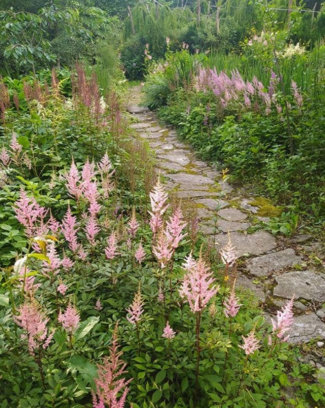 20.000 metros cuadrados de jardines albergan abundantes colecciones botánicas