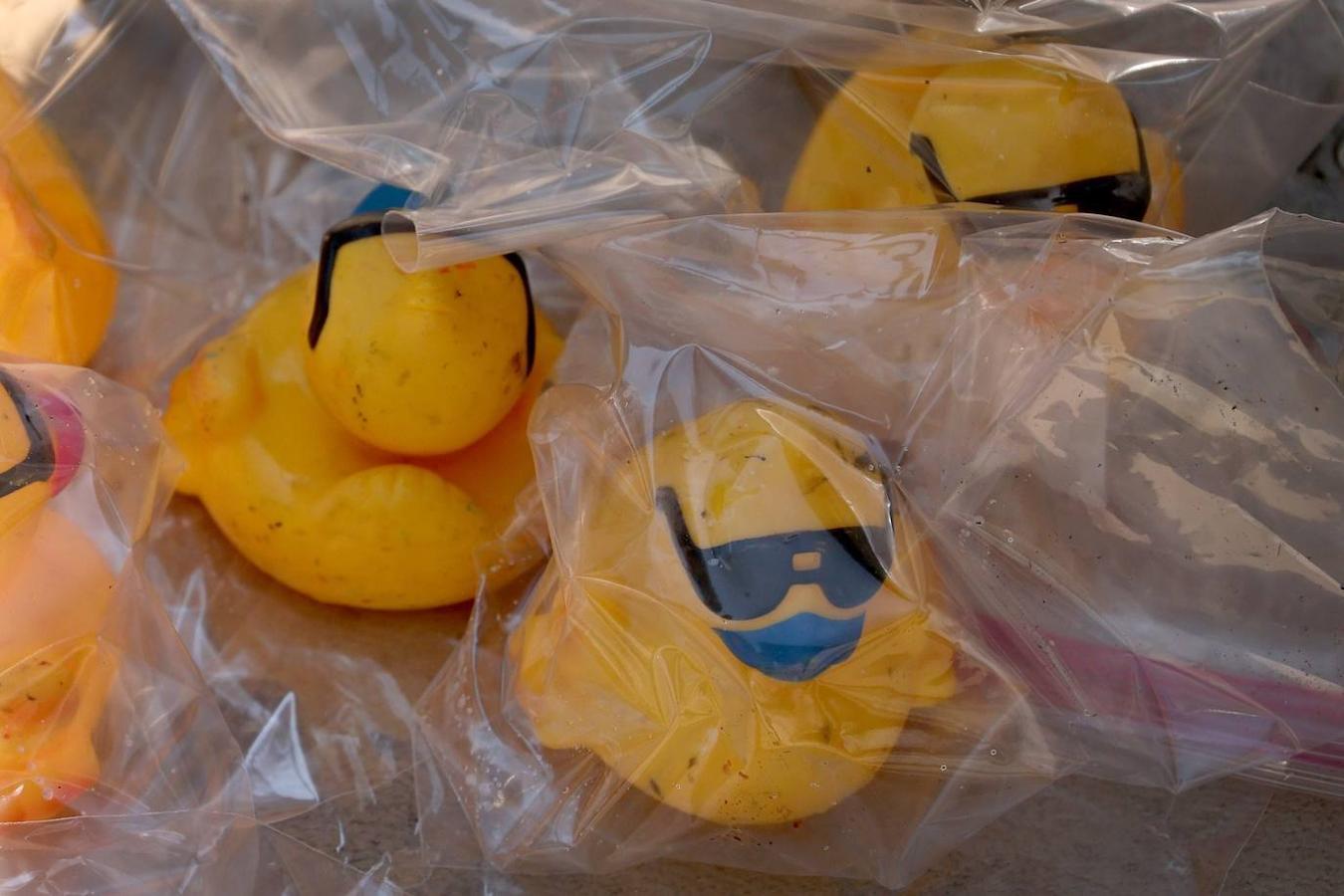 Fotos: Al agua patos: miles de patitos de goma «nadan» en una carrera en el río de Chicago