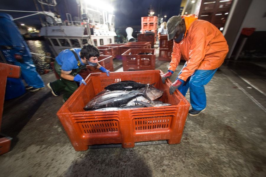 Fotos: Las últimas piezas de la temporada