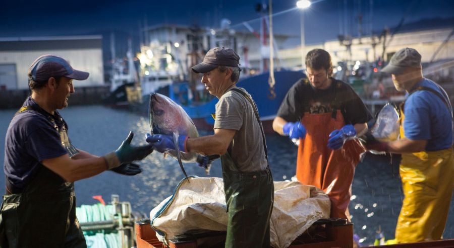 Fotos: Las últimas piezas de la temporada