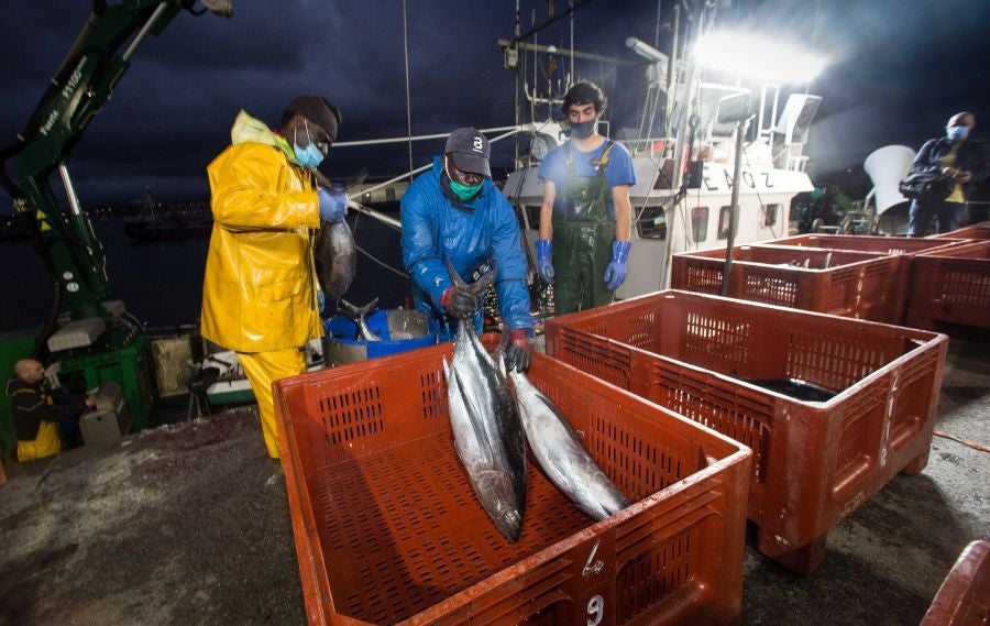 Fotos: Las últimas piezas de la temporada