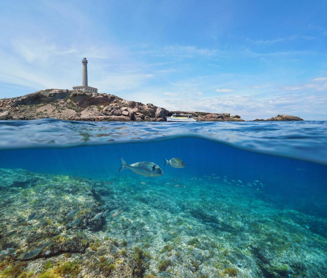 Cabo de Palos (Murcia)