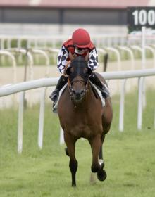 Imagen secundaria 2 - Caballos: &#039;City Gent&#039; escribe una historia imposible