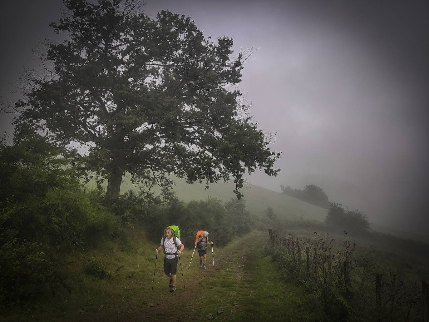 Los Pirineos nos esperan sin tiempo para calentar. La cuesta se empina conforme nos acercamos a Huntto.