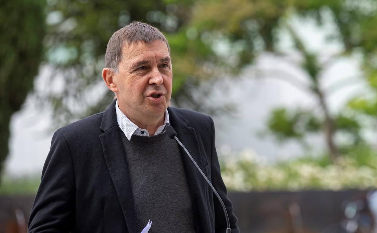 Política: Otegi ve «antisociales» los incidentes de Donostia y dice que «hay que buscar soluciones, no culpables»