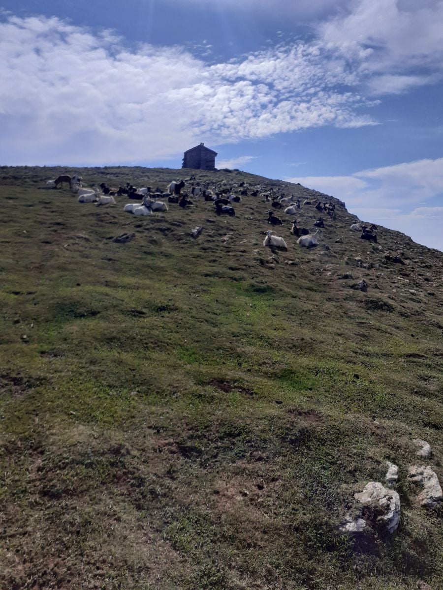 Fotos: Beriain, gran recompensa tras el esfuerzo