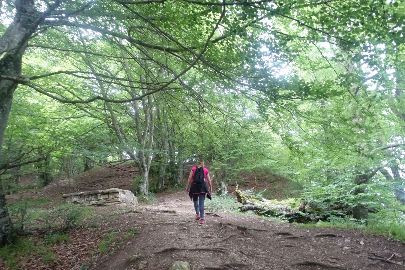 Fotos: Beriain, gran recompensa tras el esfuerzo