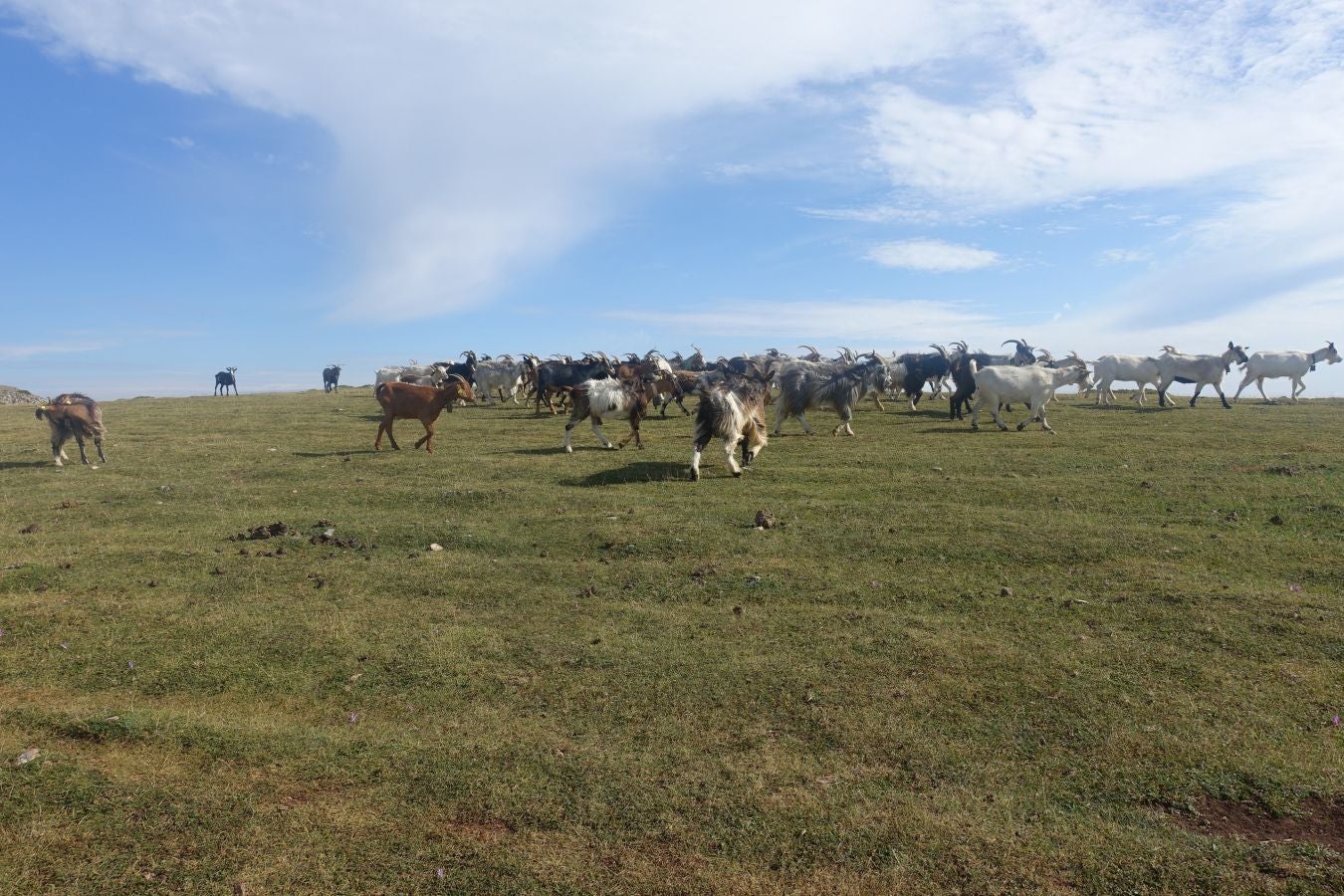 Fotos: Beriain, gran recompensa tras el esfuerzo