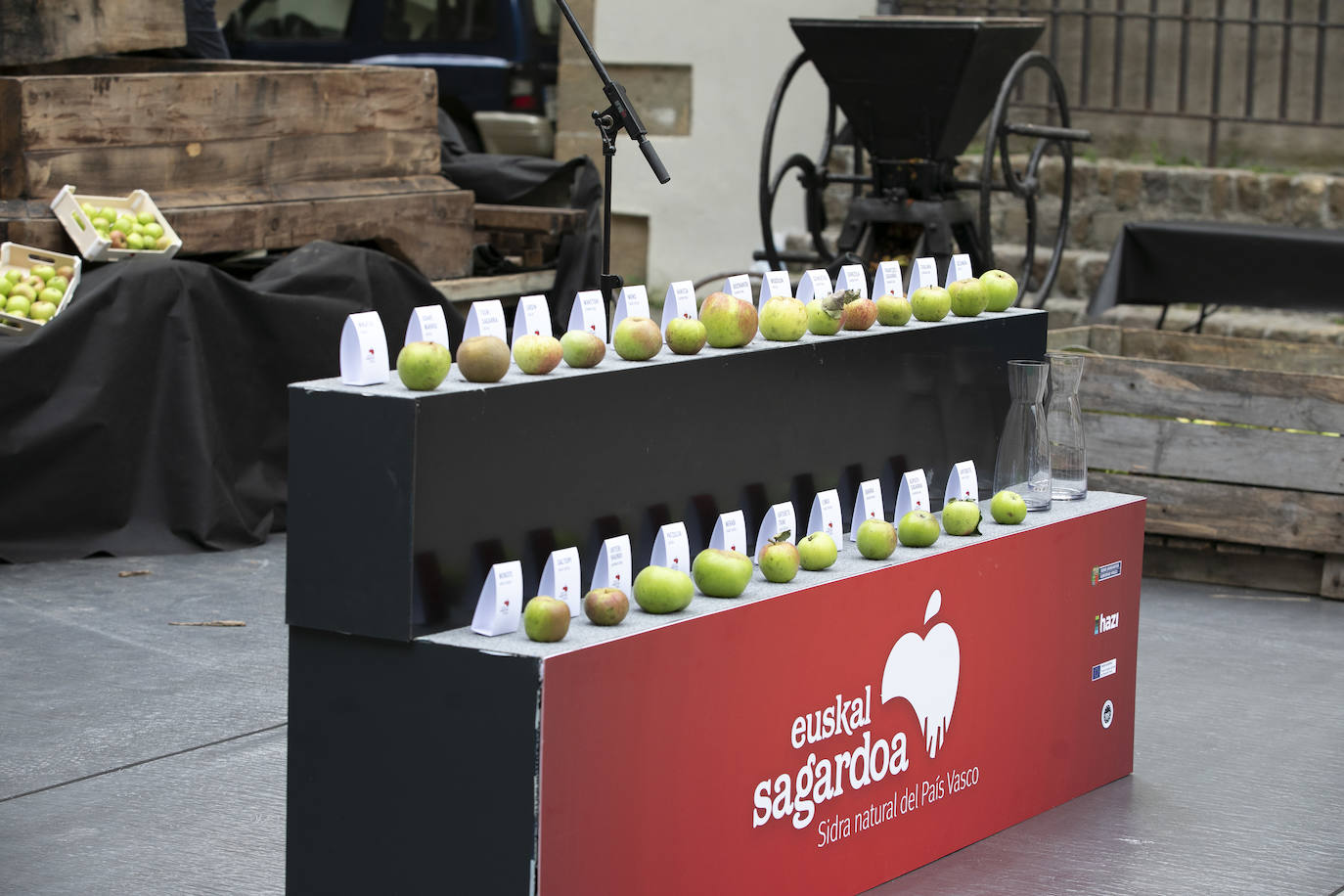 Fotos: Cosecha «abundante» y «de gran calidad» para hacer sidra