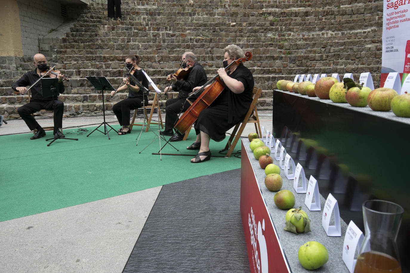 Fotos: Cosecha «abundante» y «de gran calidad» para hacer sidra