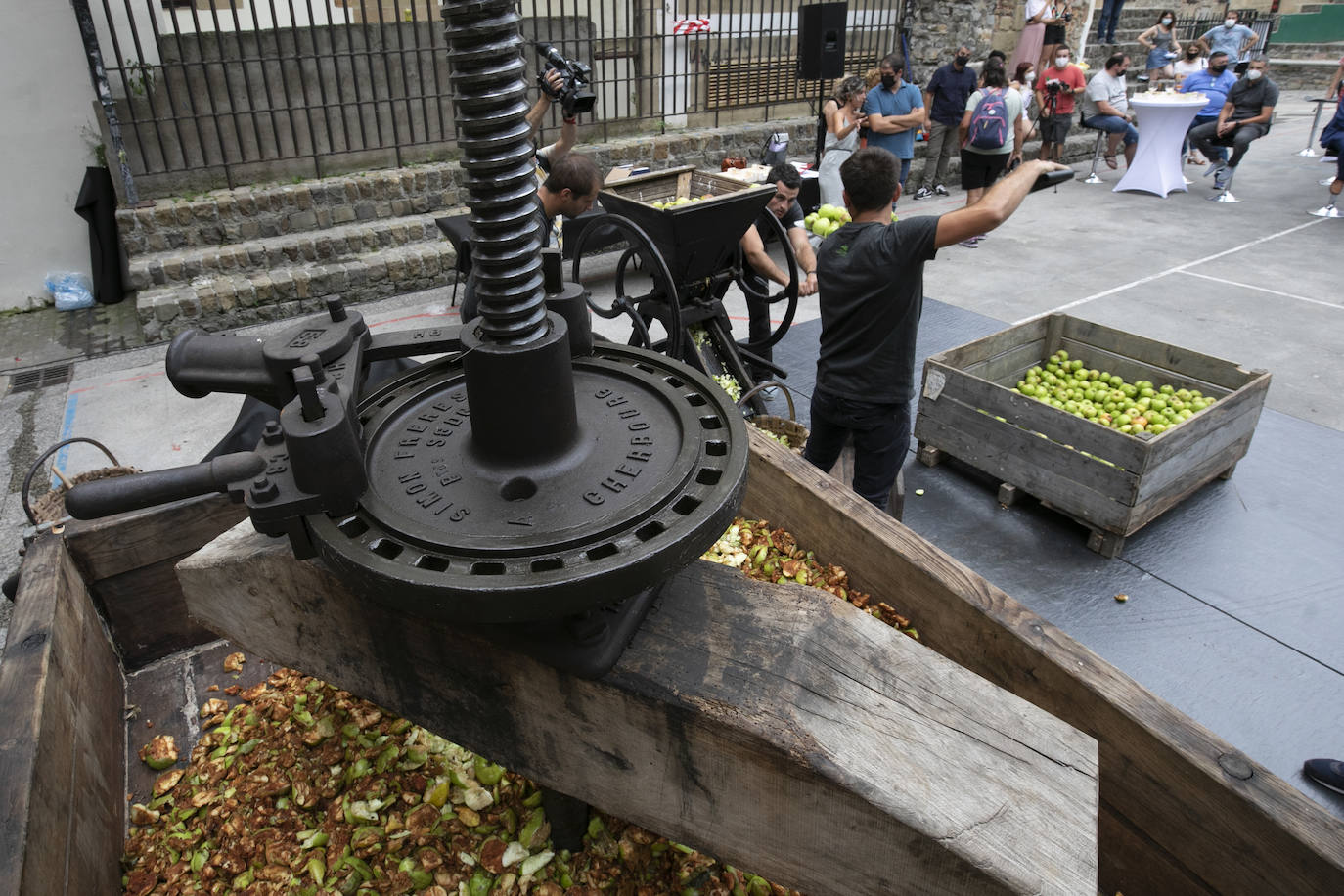 Fotos: Cosecha «abundante» y «de gran calidad» para hacer sidra