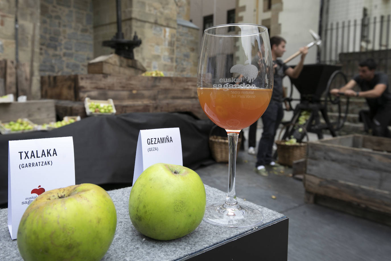 Fotos: Cosecha «abundante» y «de gran calidad» para hacer sidra