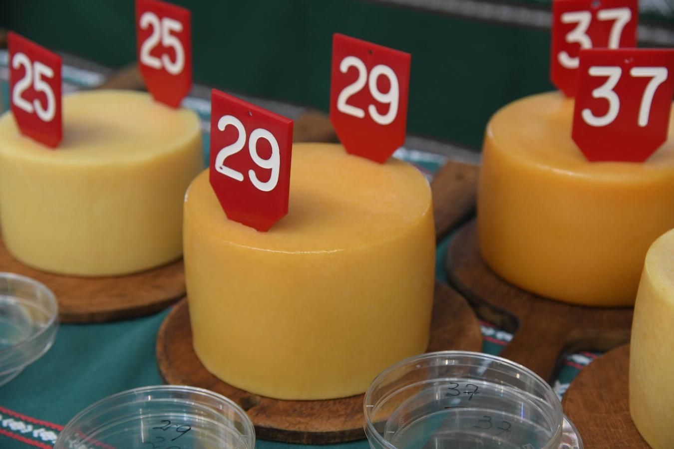 Fotos: Concurso de queso de Ordizia